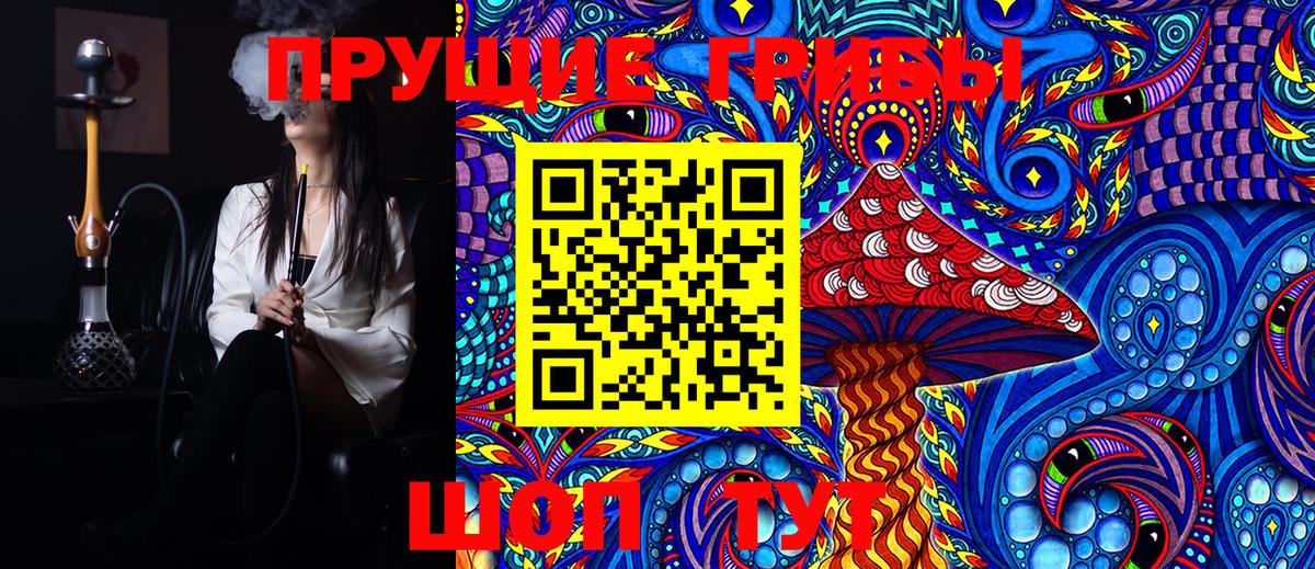 Галлюциногенные грибы Cubensis  Вход с VPN  Галлюциногенные грибы Psilocybe  Арзамас 